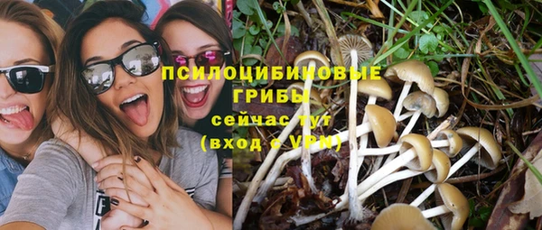 Альфа ПВП Алексеевка